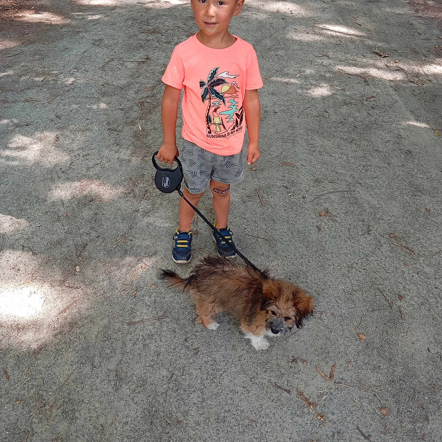Maël a rejoint le concours — aidez-le/la à gagner de superbes lots ! animal, boy, canine, child, cute, dog, happy, leash, nature, outdoor, path, person, pet, playful, shoes, shorts, summer, sunlight, tshirt, walking