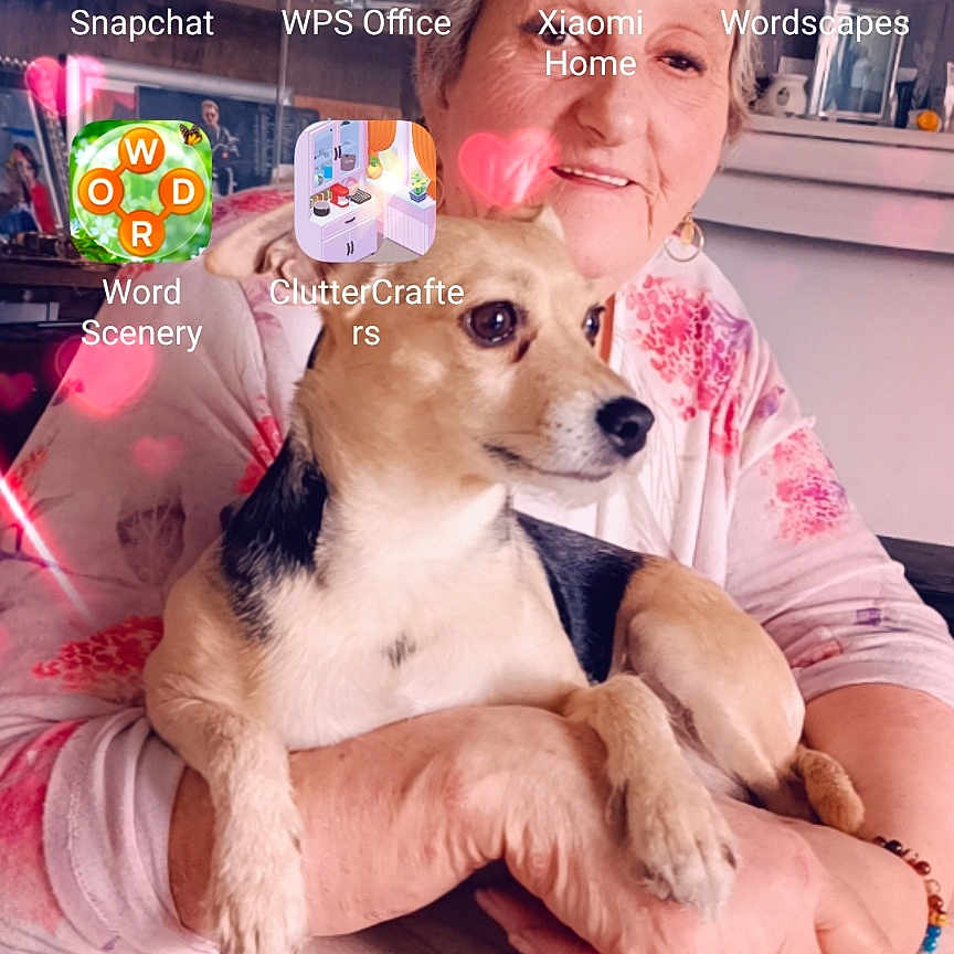 Fifylle participe au concours pour gagner de l'argent avec cette photo : animal, baby, beagle, bodypart, canine, chihuahua, dog, face, finger, hand, head, hound, husky, indoors, interiordesign, person, pet, photography, portrait, puppy