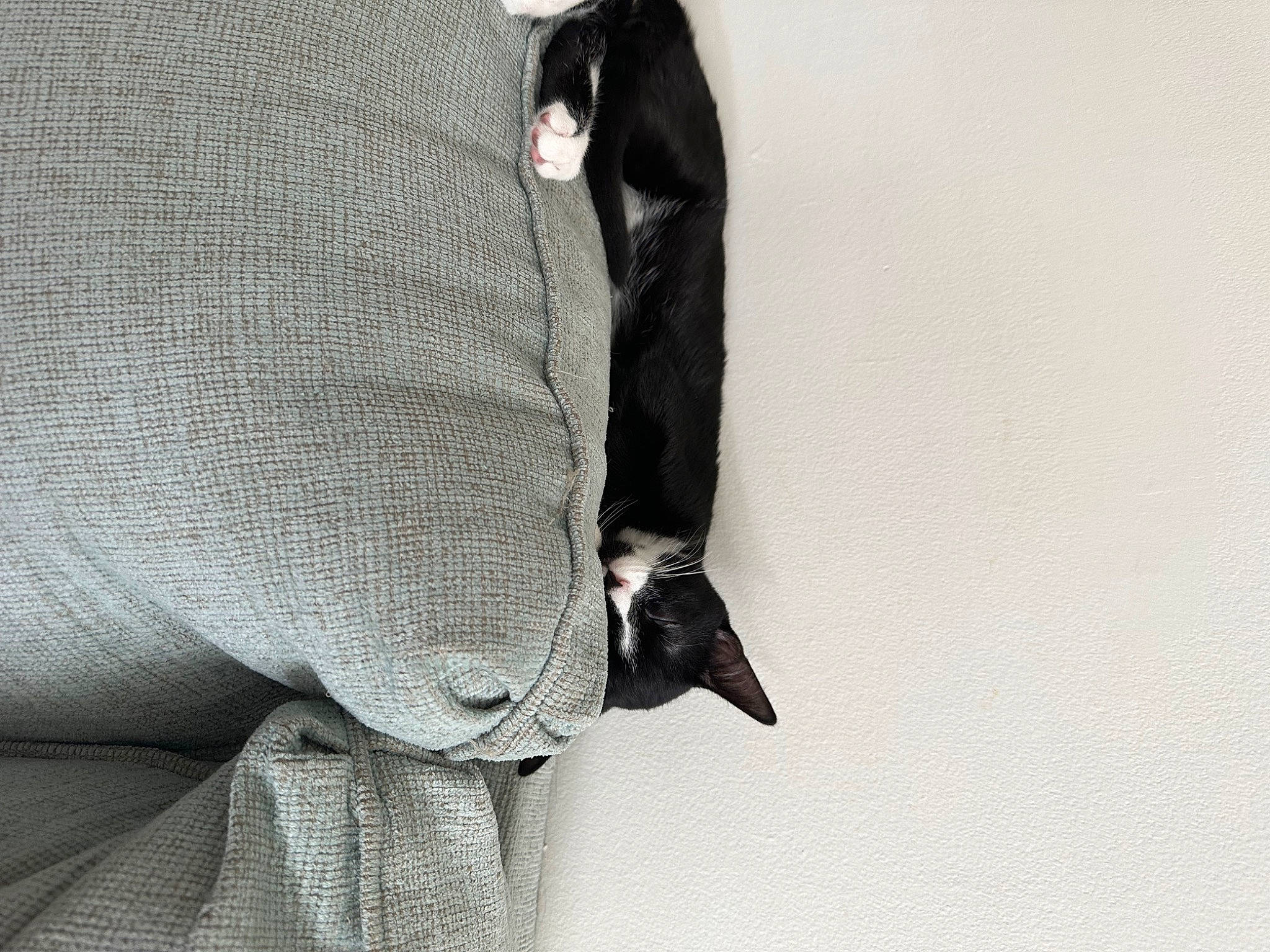 Zachary Binx joined the competition — help win amazing prizes! bird, blazer, carmine, collar, denim, fashion_accessory, fashion_design, font, formal_wear, fur, hat, human_leg, linens, monochrome, monochrome_photography, pattern, sleeve, tints_and_shades, top, waist