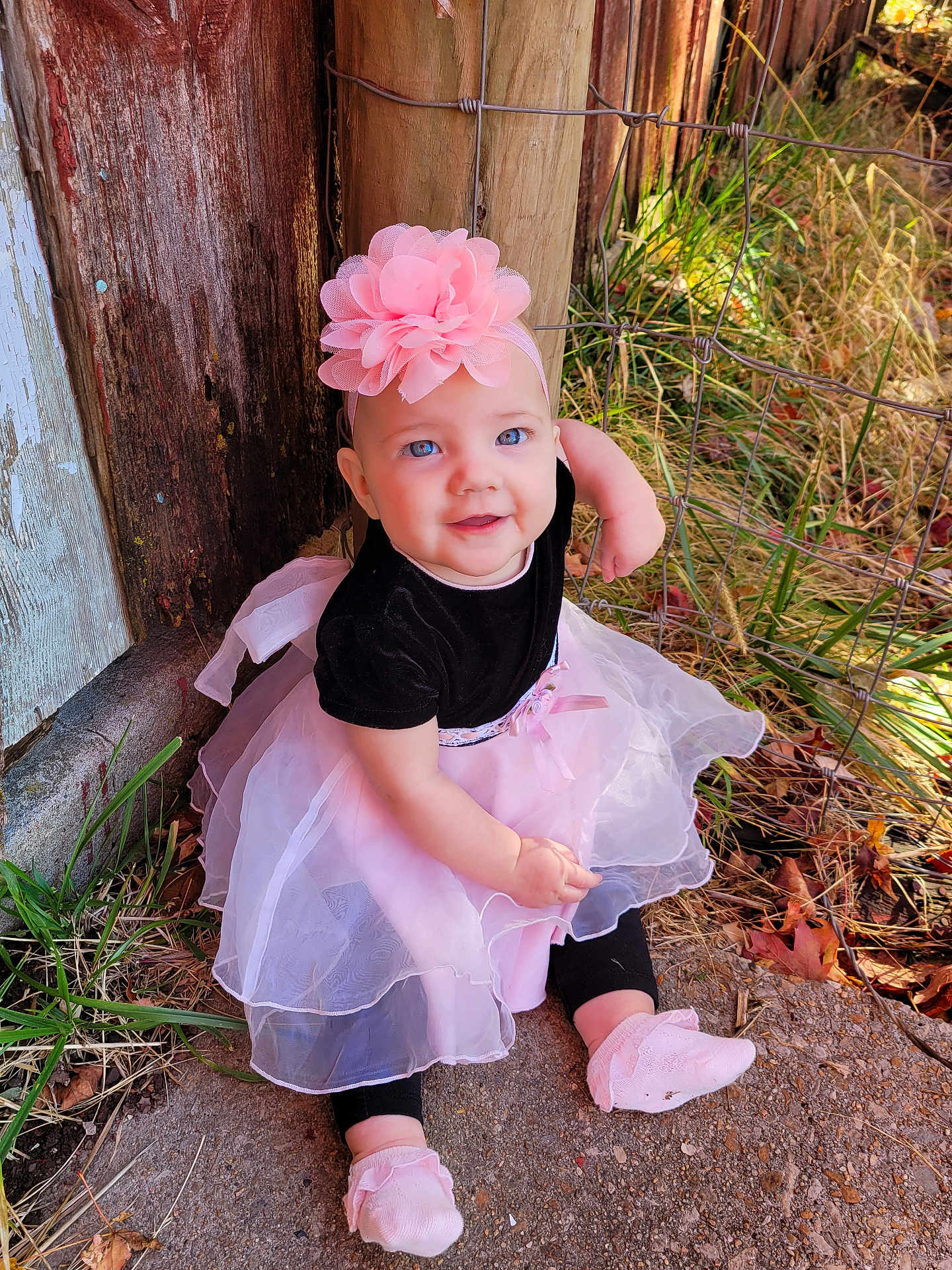 Jade joined the competition — help win amazing prizes! baby, child, girl, smiling, headband, pink_flower, dress, black_top, tutu_skirt, sitting, outdoor, grass, leaves, fence, wooden_post, concrete, cute, portrait, footwear, happy