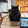 cat, black_cat, box, cardboard_box, table, kitchen, wooden_furniture, green_eyes, indoor, pet, curious, cozy, tile_floor, domestic_animal, feline, sitting, home, decor, container, closeup