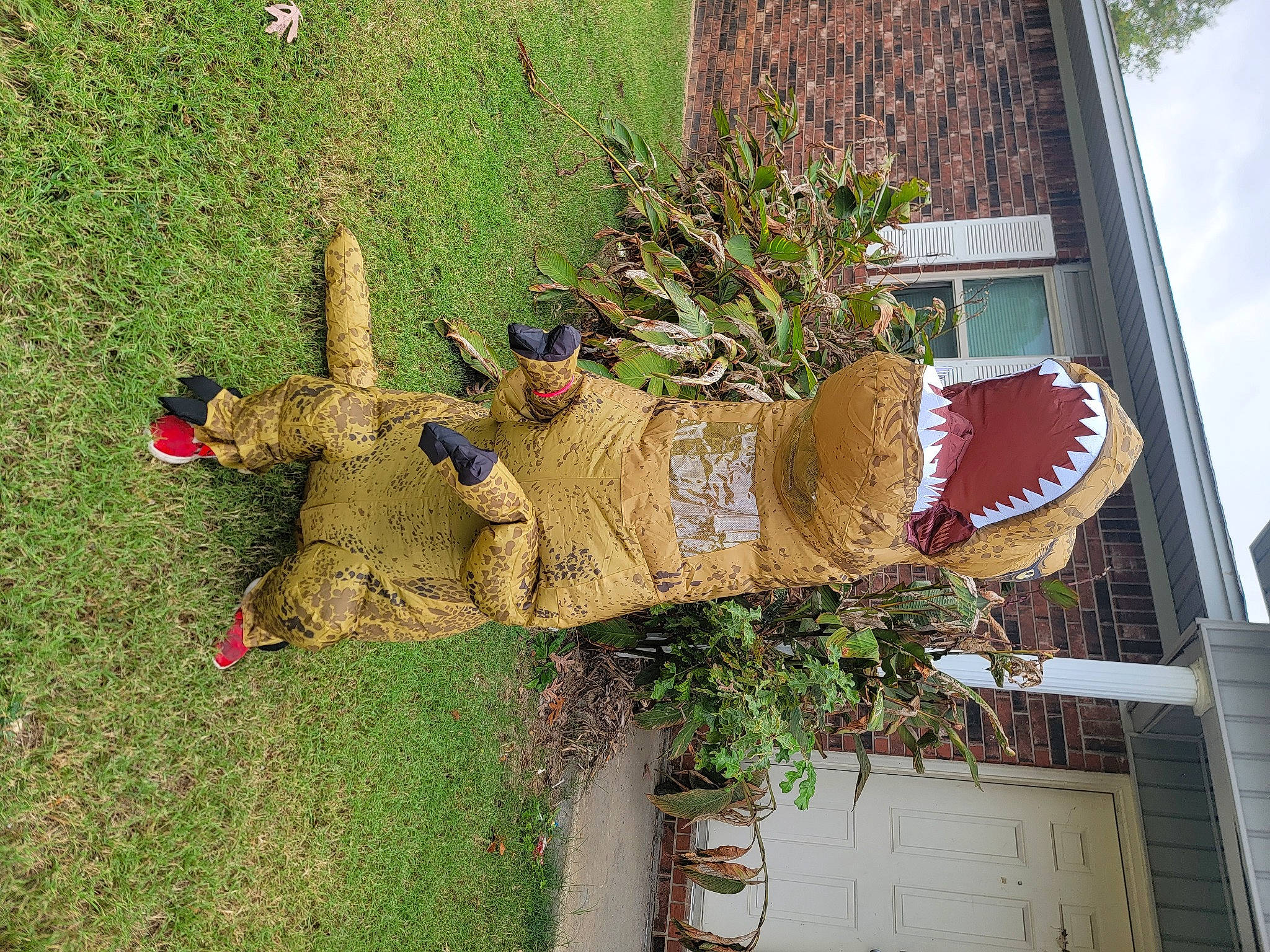 Jermauri joined the competition — help win amazing prizes! art, botany, building, facade, flowerpot, garden, grass, herb, house, houseplant, landscape, landscaping, lawn_ornament, plant, shrub, siding, twig, window, wood, yard