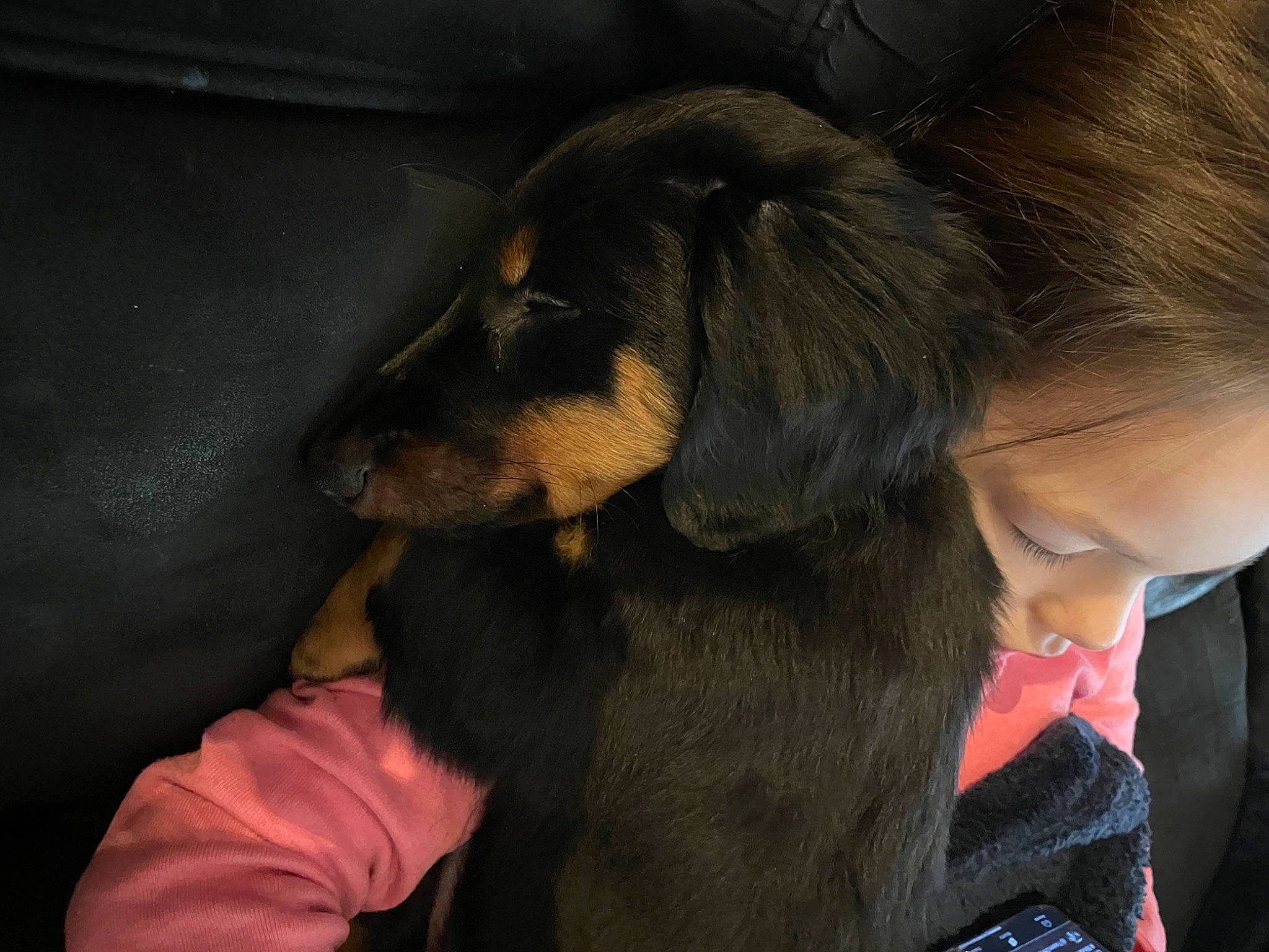 Cody joined the competition — help win amazing prizes! canidae, carnivore, companion_dog, dog, dog_breed, ear, fawn, fur, gesture, guard_dog, happy, liver, natural_material, paw, puppy, rottweiler, sporting_group, working_animal, working_dog