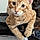 Duncan
