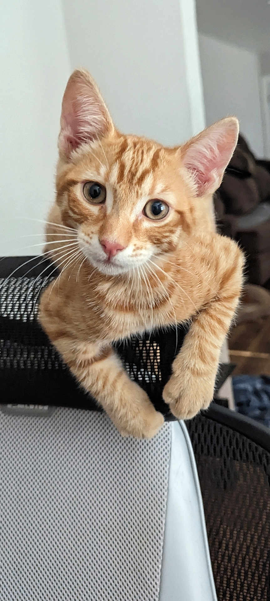 Duncan