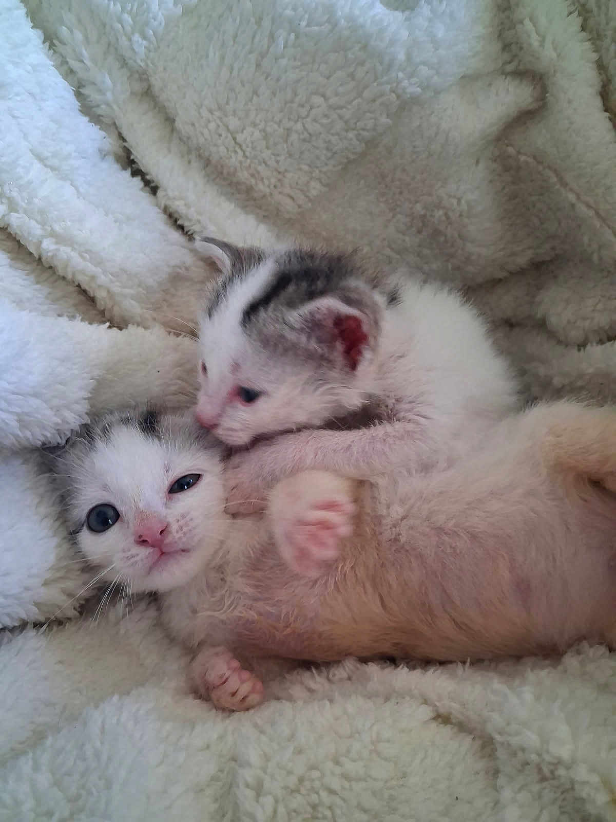 Arthur Et Anaïs