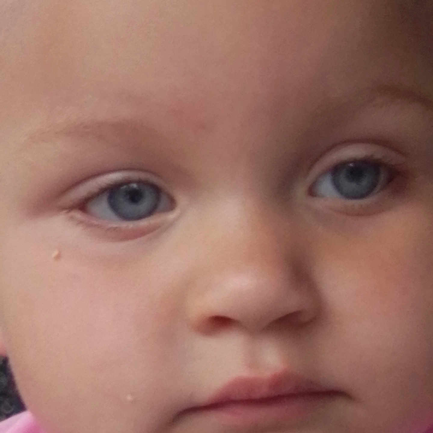 Millie joined the competition — help win amazing prizes! child, toddler, face, blue_eyes, skin, expression, close_up, pink_shirt, person, portrait, innocence, baby, young, human, head, eyebrow, nose, lip, cheek, eyelid