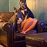dog, leather_chair, person, legs, wood_floor, teal_wall, mounted_animal_head, brown_leather_ottoman, indoor, pet, animal, two_dogs, sitting, perched, collar, domestic, companions, cozy, home_interior, furniture