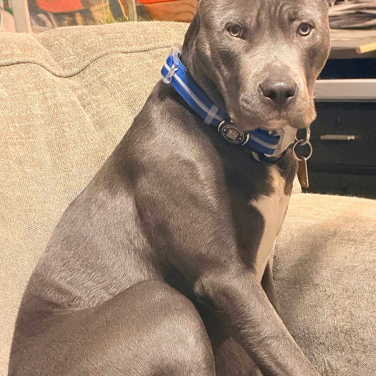 Ruger