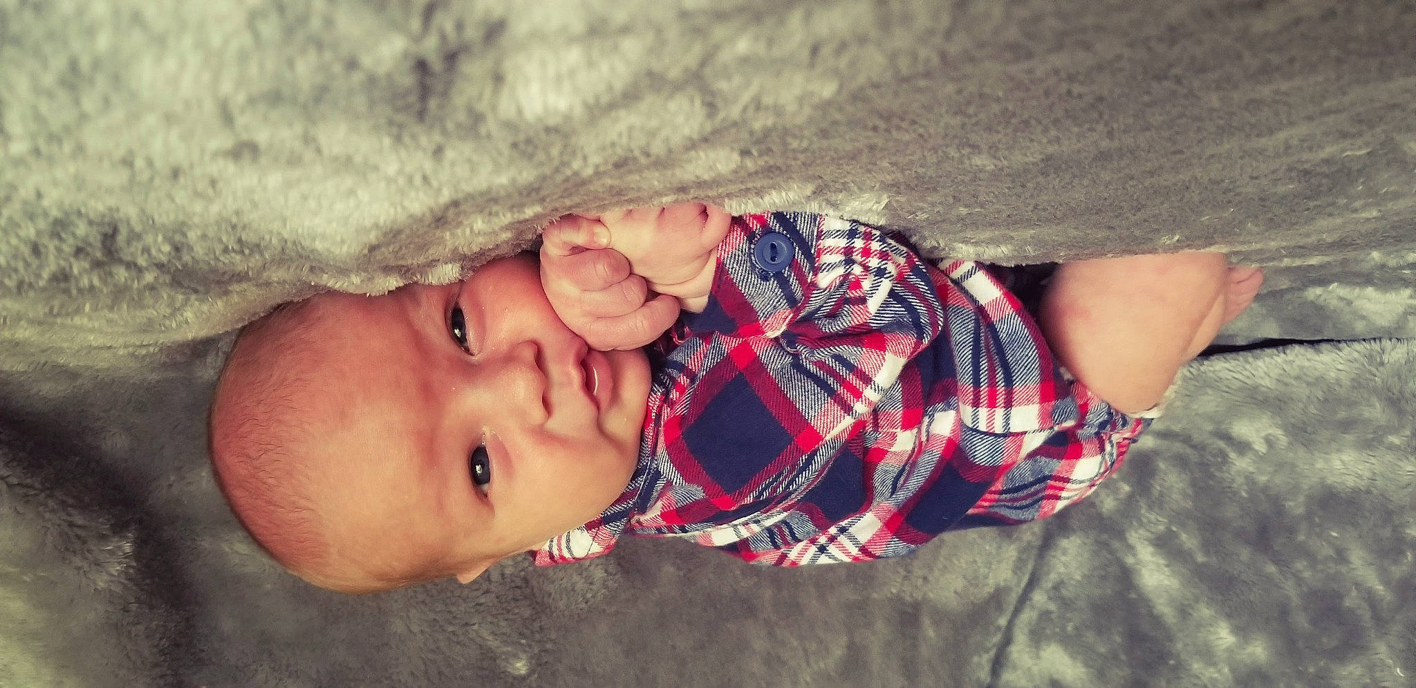 Mayson is registered to the contest to win money with this photo: arm, baby, cheek, child, design, ear, eye, face, finger, hand, head, lip, mouth, muscle, nose, pattern, person, skin, smile, toddler