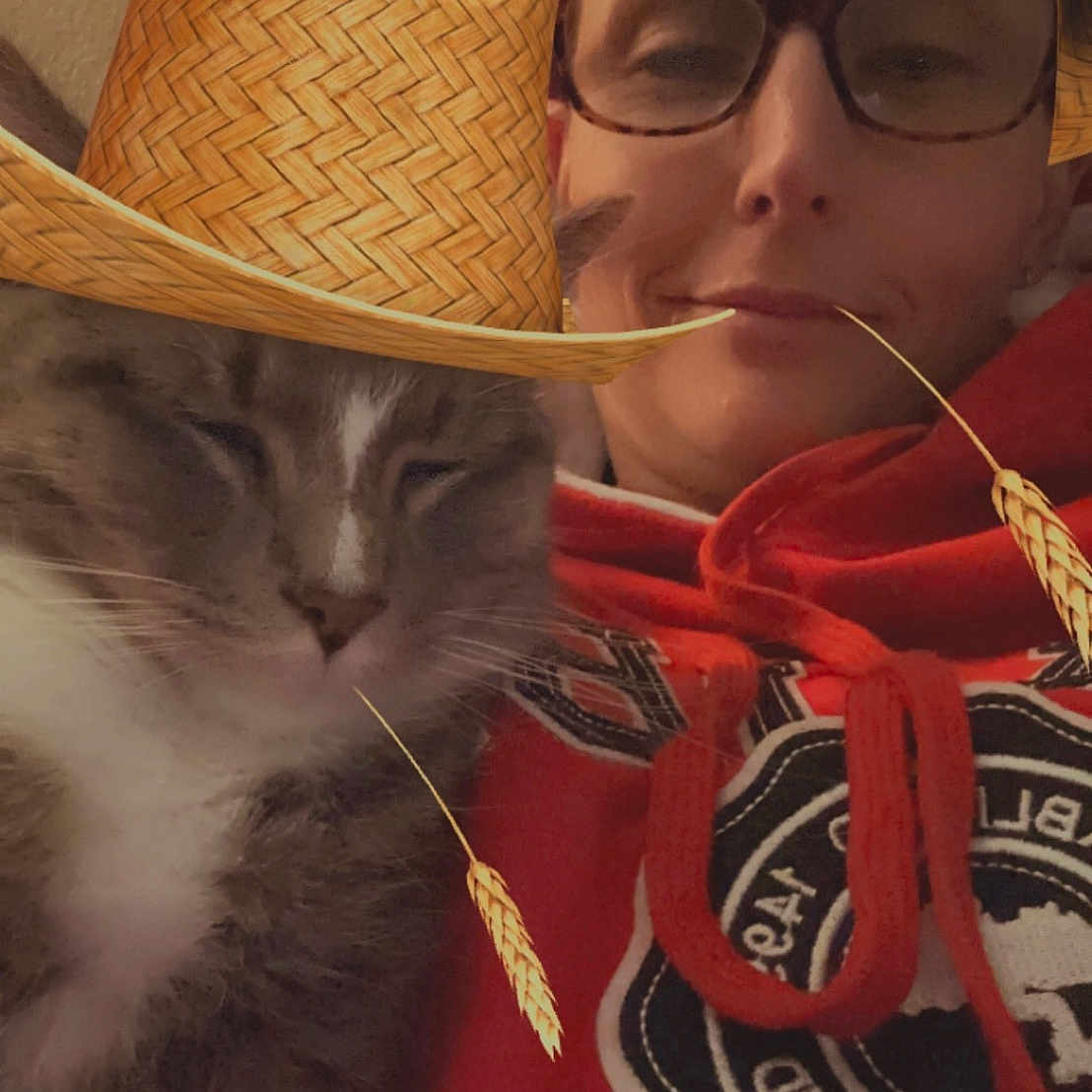 Bandit is registered to the contest to win money with this photo: cat, person, portrait, selfie, indoors, hat, straw_hat, glasses, red_clothing, hoodie, gray_cat, white_fur, sleepy, relaxed, close_up, whiskers, face, pet, companionship, humorous