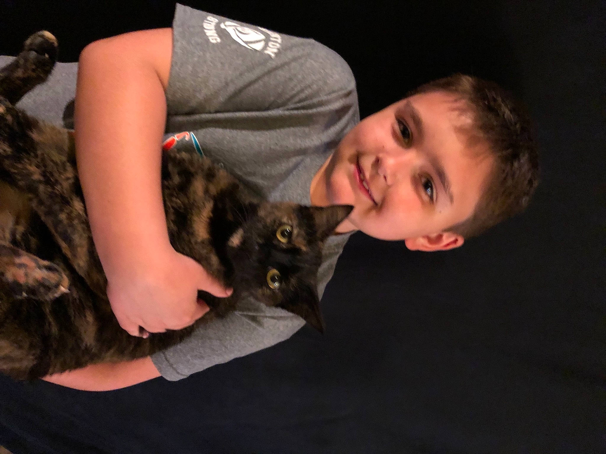 Pollie joined the competition — help win amazing prizes! carnivore, cat, comfort, couch, domestic_short_haired_cat, ear, eye, fawn, felidae, flash_photography, fun, fur, gesture, happy, lap, sitting, skin, small_to_medium_sized_cats, smile, whiskers