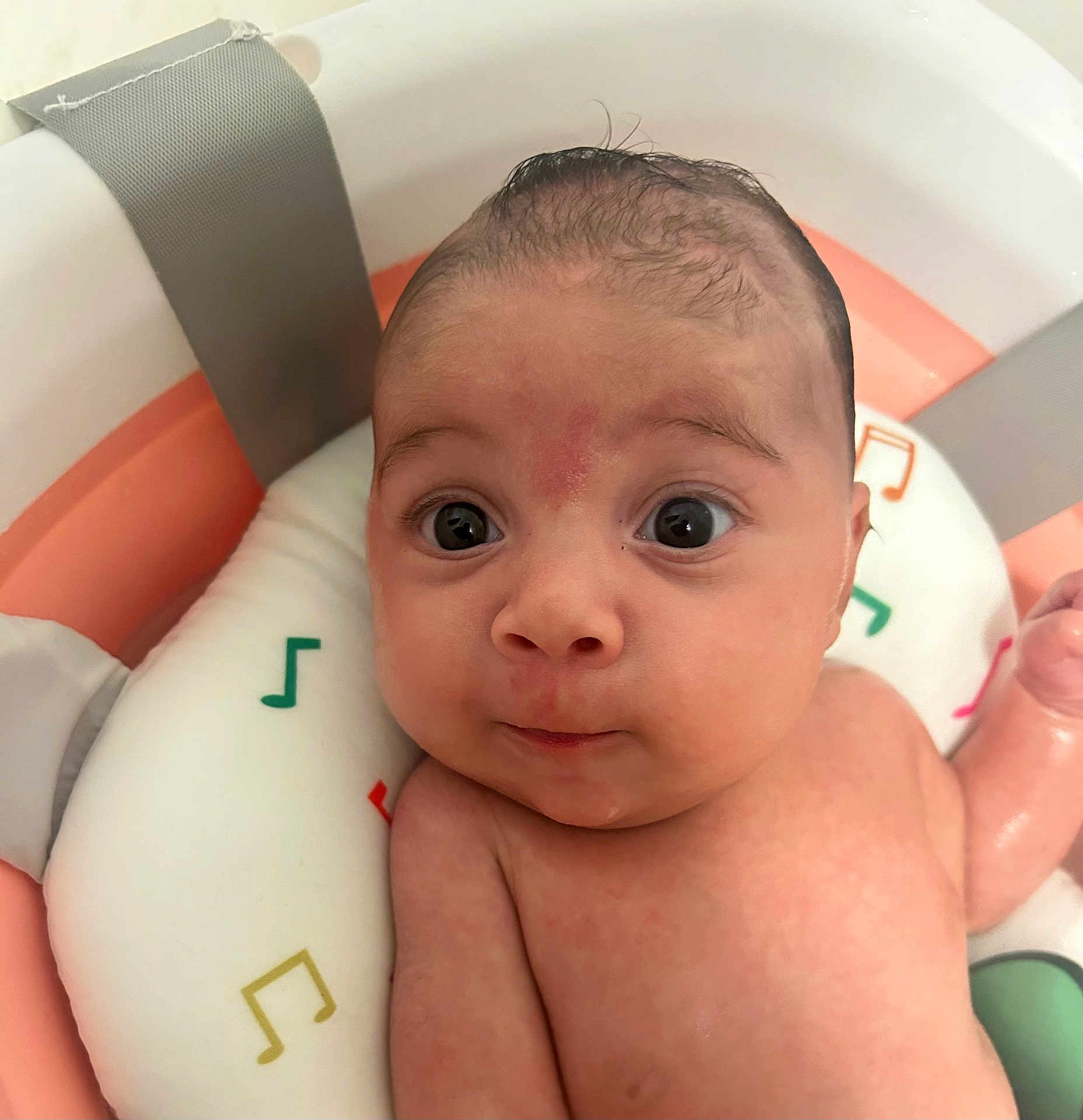 Ellie Hazel joined the competition — help win amazing prizes! baby, infant, bath, water, musical_notes, seat, curious, skin, head, face, eyes, expression, child, newborn, closeup, indoors, cute, relaxing, soft, pale