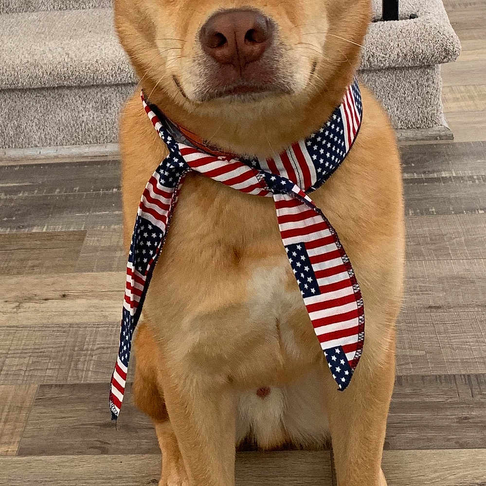 Benji