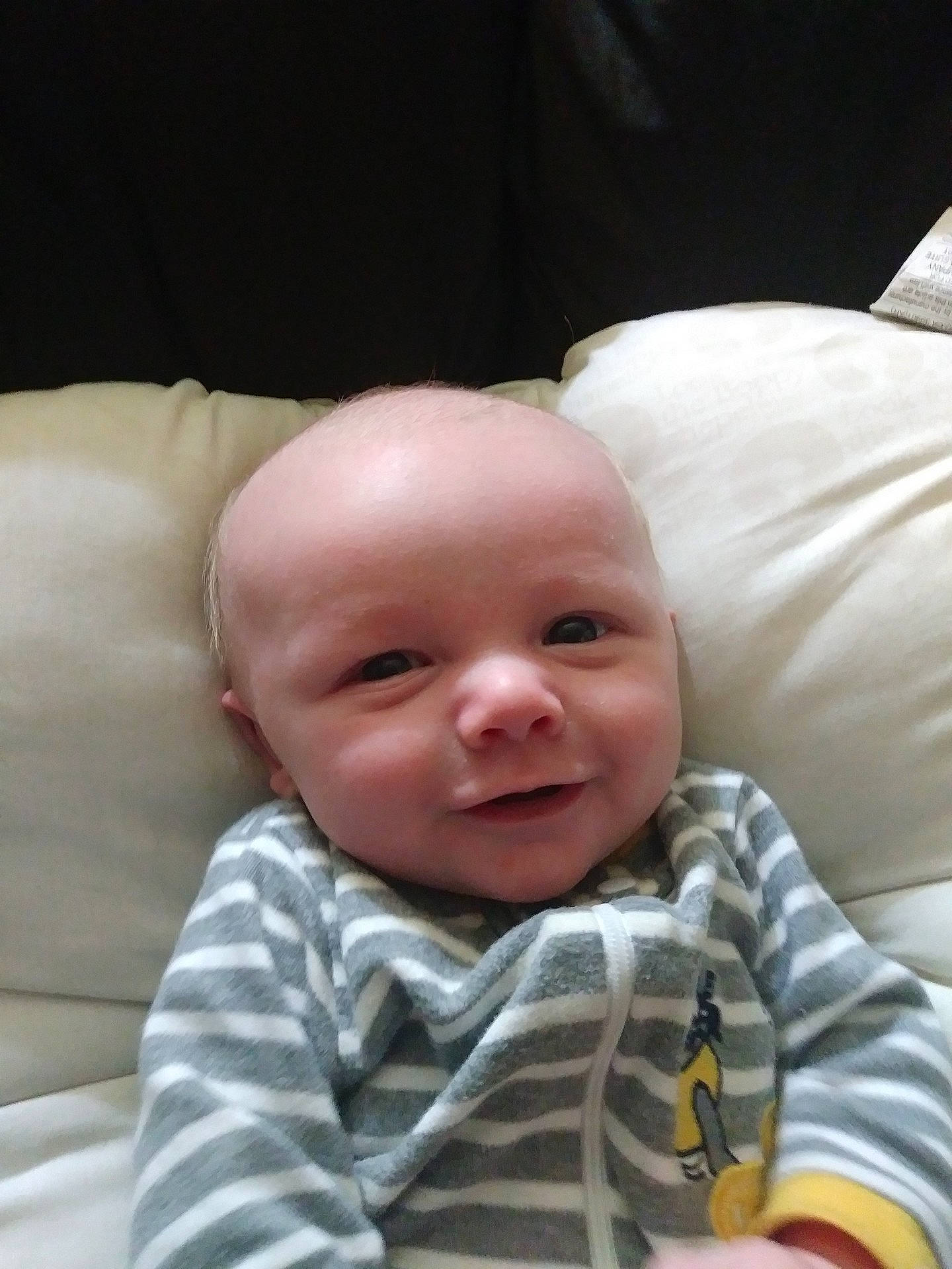 Tanner joined the competition — help win amazing prizes! cheek, child, ear, eye, face, forehead, head, infant, lip, nose, person, product, skin, smile, toddler