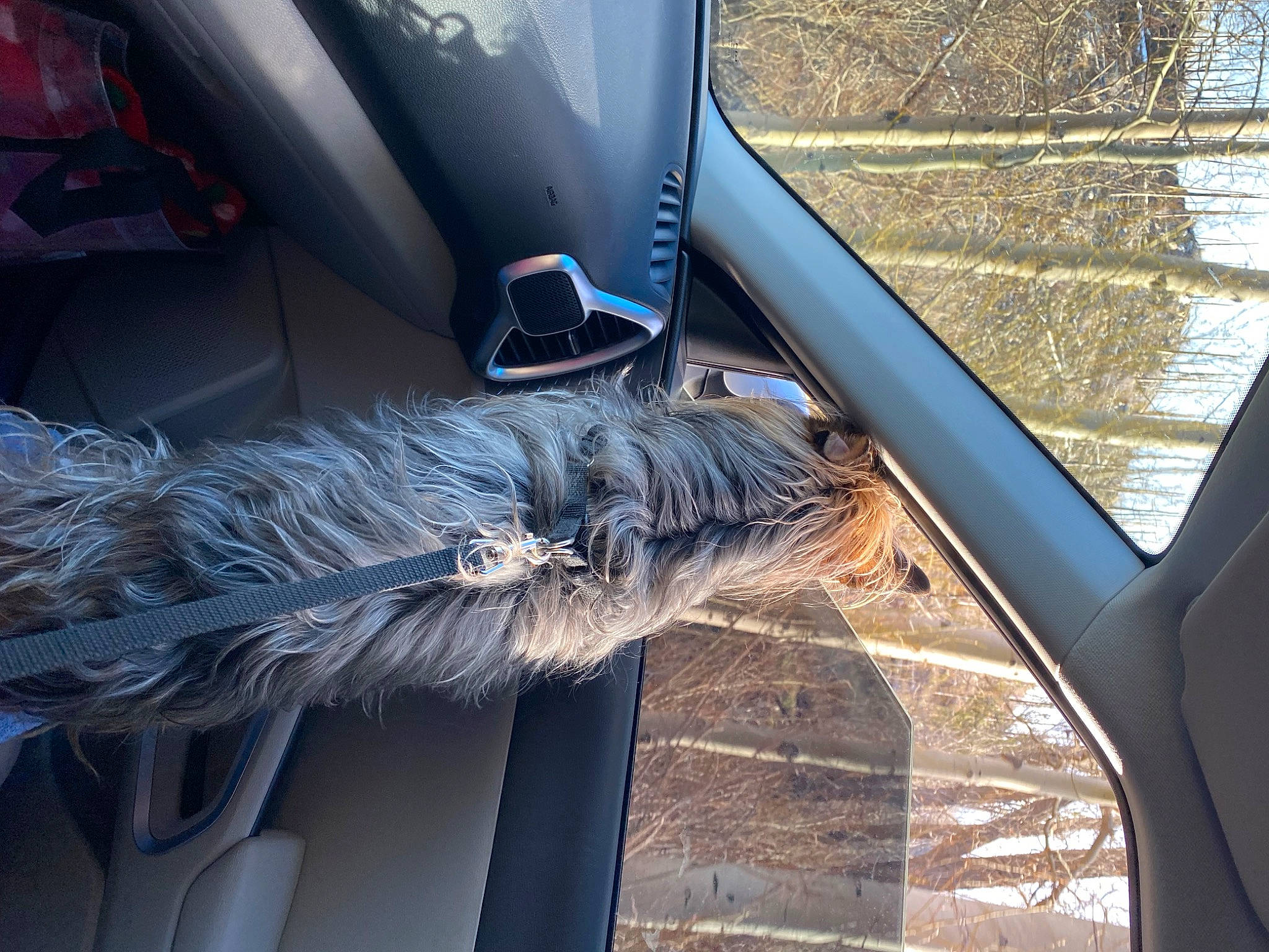 Lucky Doo is registered to the contest to win money with this photo: auto_part, automotive_design, automotive_exterior, automotive_mirror, automotive_tire, automotive_window_part, car, electric_blue, family_car, glass, hood, motor_vehicle, personal_luxury_car, tints_and_shades, vehicle, vehicle_door, window, windscreen_wiper, windshield, wood