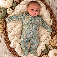Kateri joined the competition — help win amazing prizes! baby, infant, child, portrait, lying_down, basket, blanket, pumpkins, autumn, floral, dried_flowers, rustic, wooden_background, onesie, floral_clothing, cozy, adorable, indoors, photography, face