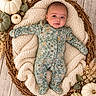 baby, infant, child, portrait, lying_down, basket, blanket, pumpkins, autumn, floral, dried_flowers, rustic, wooden_background, onesie, floral_clothing, cozy, adorable, indoors, photography, face