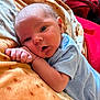 Waylon joined the competition — help win amazing prizes! baby, infant, blanket, blue_clothing, lying_down, face, hand, skin, expression, soft_texture, indoor, cute, newborn, resting, portrait, human, child, comfort, warm, cozy