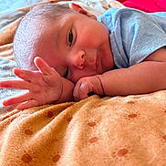 Waylon joined the competition — help win amazing prizes! baby, newborn, infant, hand, face, blanket, polka_dots, blue_clothing, lying_down, close_up, skin, cute, soft, peaceful, indoors, resting, portrait, child, sleepy, warm_light