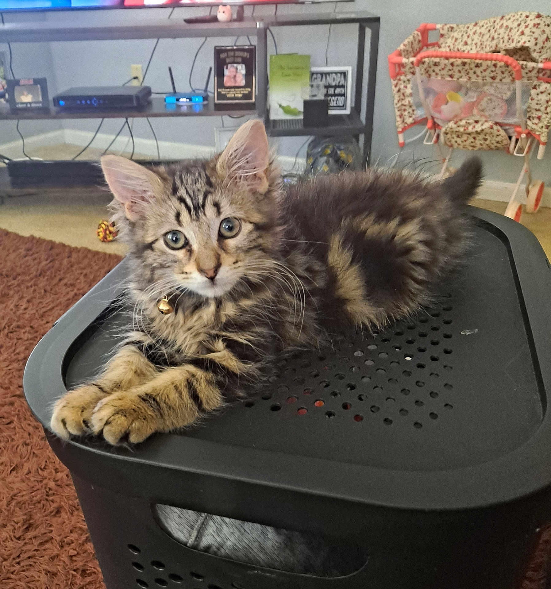 Simba