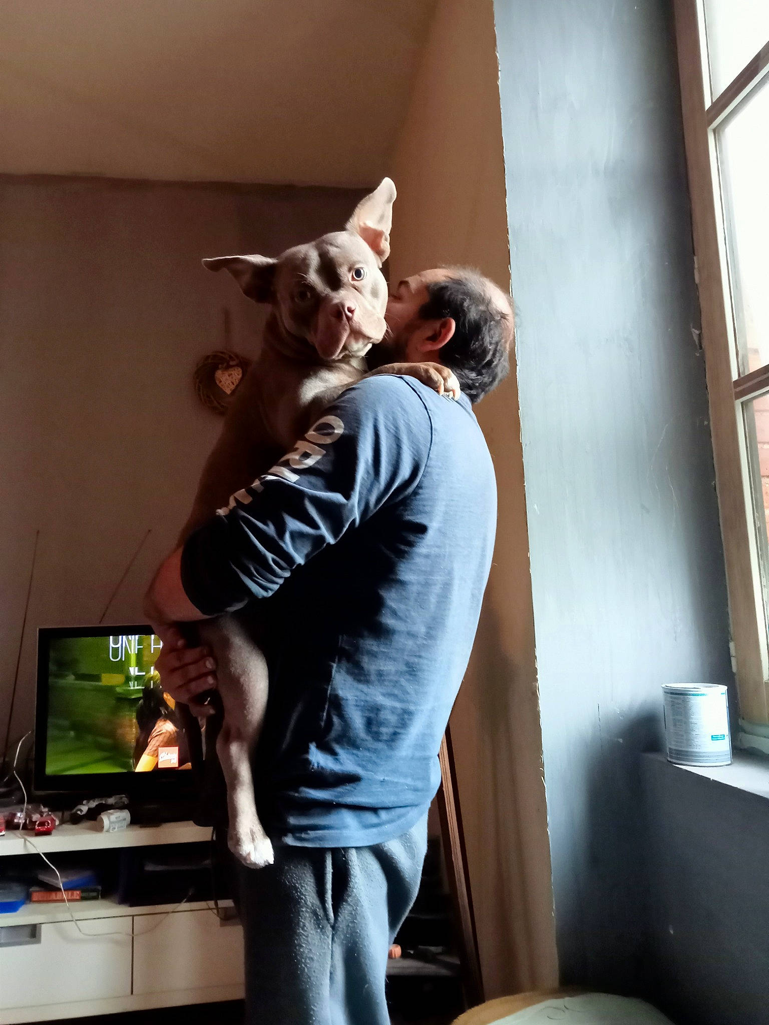 Mara participe au concours pour gagner de l'argent avec cette photo : audio_equipment, beard, companion_dog, elbow, event, eyewear, facial_hair, felidae, fun, house, human_leg, personal_protective_equipment, room, shoulder, sitting, sportswear, sunglasses, t_shirt, whiskers, window