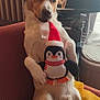 dog, plush_toy, penguin, santa_hat, red_armchair, yellow_blanket, indoor, curtains, window, radiator, furniture, pet, cute, relaxed, sitting, white_fur, brown_fur, toy, holiday, cozy