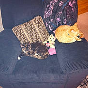 Prince is registered to the contest to win money with this photo: animal, armchair, blanket, cat, cozy, cushion, cute, domestic, floor, furniture, home, indoor, living_room, minnie_mouse, orange_tabby_cat, pet, plush_toy, relaxing, resting, tortoiseshell_cat