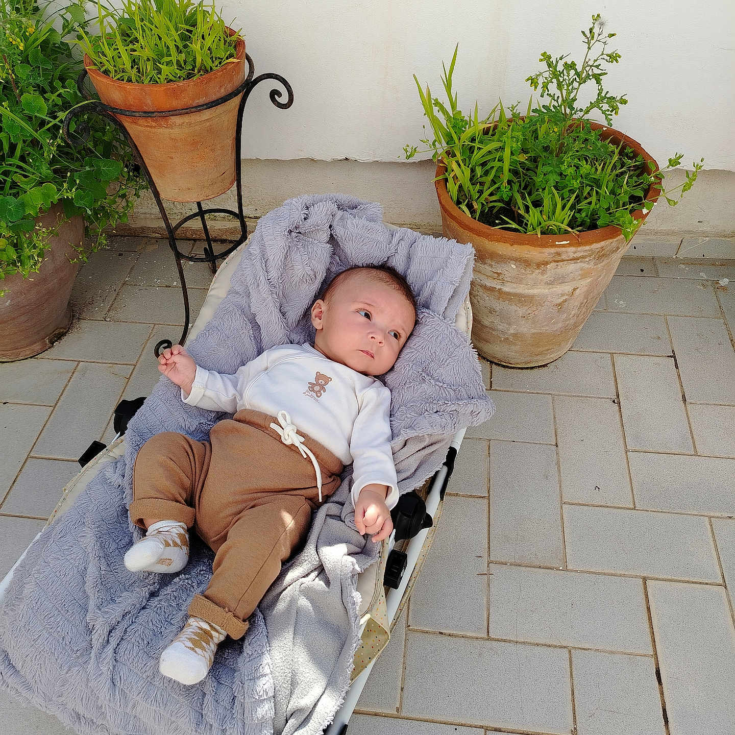 Diego-Yanis participe au concours pour gagner de l'argent avec cette photo : baby, baby_clothes, blanket, casual_clothing, child, curious, daylight, flooring, greenery, infant, nature, outdoor, person, plants, pottery, relaxing, socks, stroller, terracotta_pot, tile_floor