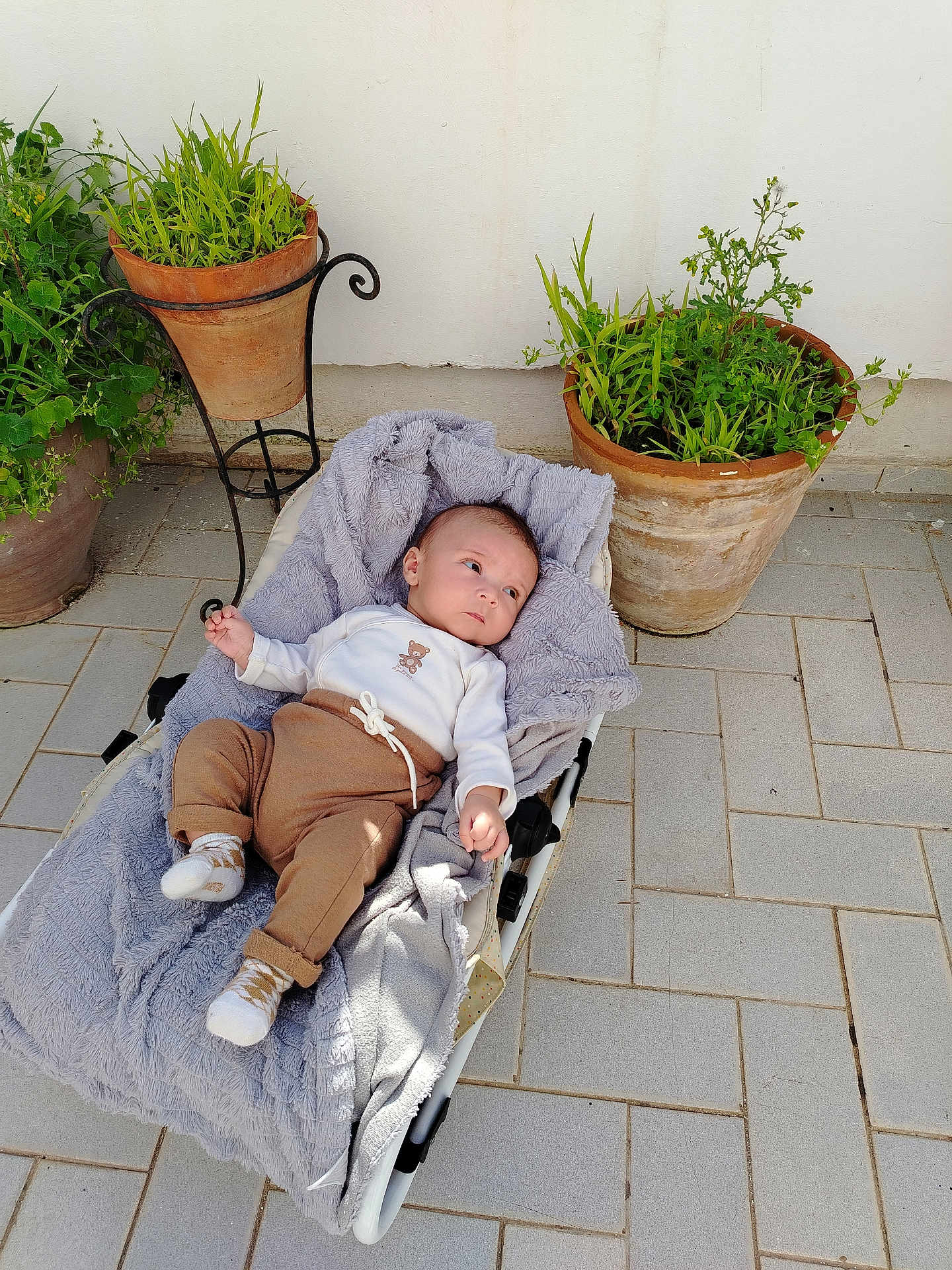 Diego-Yanis participe au concours pour gagner de l'argent avec cette photo : baby, blanket, stroller, plants, pottery, outdoor, tile_floor, greenery, child, infant, casual_clothing, socks, curious, relaxing, daylight, terracotta_pot, flooring, person, baby_clothes, nature