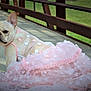 animal, bridge, canine, concrete, costume, cute, daylight, dog, fashion, fence, flower_pattern, french_bulldog, grass, looking_back, outdoor, pet, pink_dress, portrait, shadow, sitting