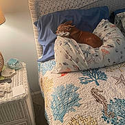 Daisy joined the competition — help win amazing prizes! dog, bed, pillow, blanket, lamp, nightstand, wicker, sleeping, brown_dog, indoor, cozy, animal, home, decor, seashell_pattern, starfish, coral_pattern, quiet, rest, relaxation
