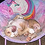 puppy, dog, sleeping, chair, unicorn, colorful, plush, roller_skate, indoor, cozy, paw, cute, resting, floor, toy, pink, brown, white, furniture, relaxed