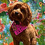 dog, brown_dog, bandana, pink_bandana, pet, animal, cute, fluffy, garden, flowers, colorful, outdoor, nature, portrait, canine, fur, collar, pets_accessory, smiling, spring
