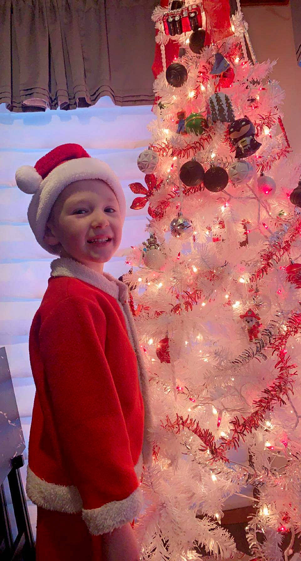 Grayson is registered to the contest to win money with this photo: beauty, christmas, christmas_decoration, christmas_ornament, christmas_tree, evergreen, happy, headwear, holiday, holiday_ornament, leaf, organ, ornament, person, plant, red, smile, standing, toddler, tree