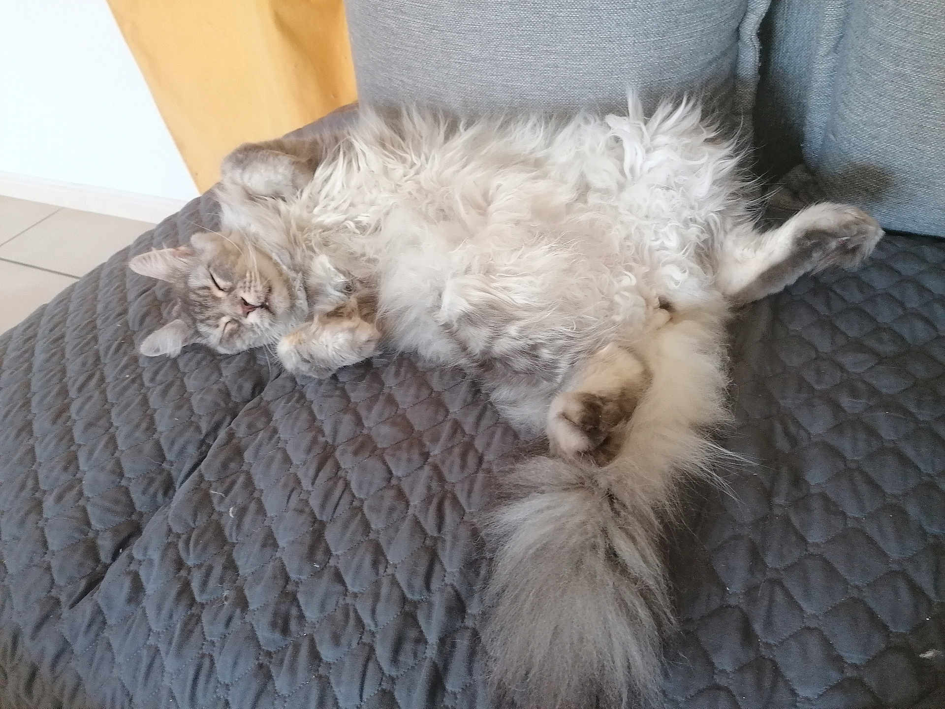 Rubie