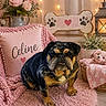 bulldog, dog, pink, pillow, blanket, teddy_bear, basket, flowers, lantern, fairy_lights, rug, cozy, indoor, wood_floor, decor, heart, paw_print, cute, pet, animal