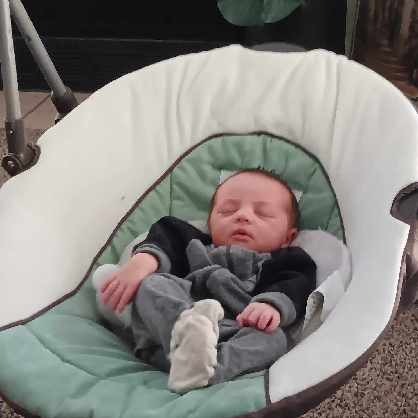 Izabella joined the competition — help win amazing prizes! animal, baby, bed, canine, clothing, cradle, crib, cushion, face, furniture, head, homedecor, infantbed, newborn, pants, person, pet, photography, portrait, sleeping