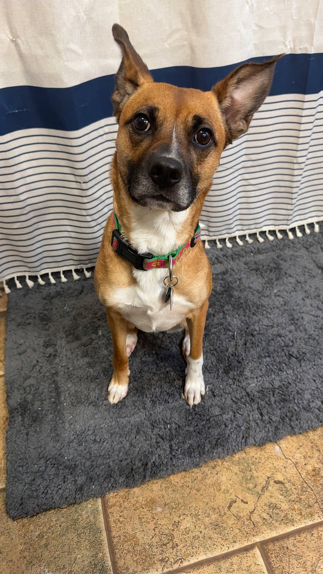 Delilah