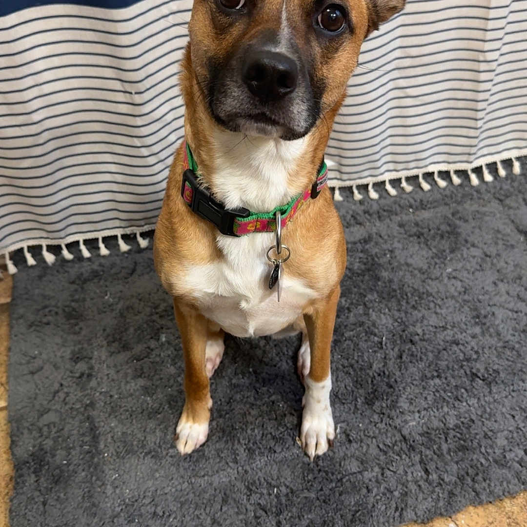 Delilah