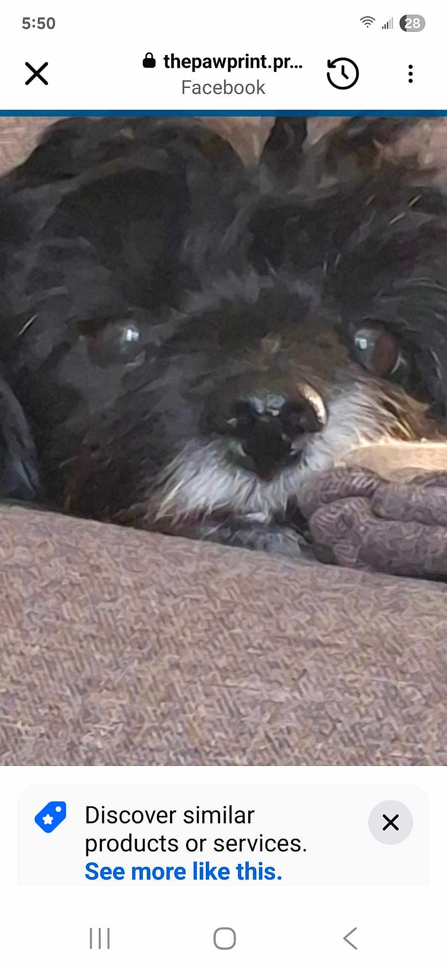 Nena