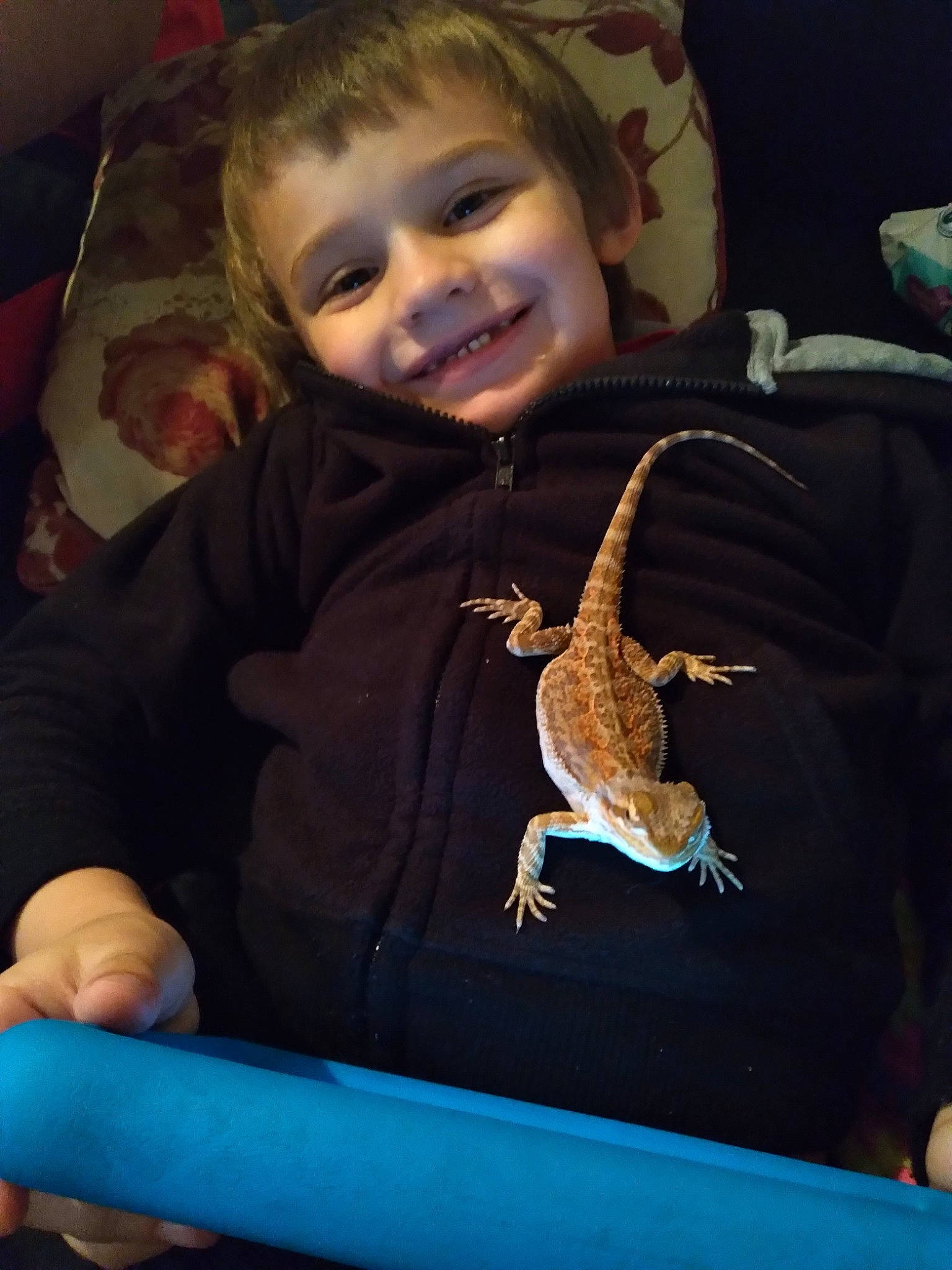 Dante is registered to the contest to win money with this photo: baby, baby_toddler_clothing, beauty, child, electric_blue, face, finger, fun, head, iris, joy, lizard, mouth, organ, person, reptile, scaled_reptile, sleeve, smile, t_shirt