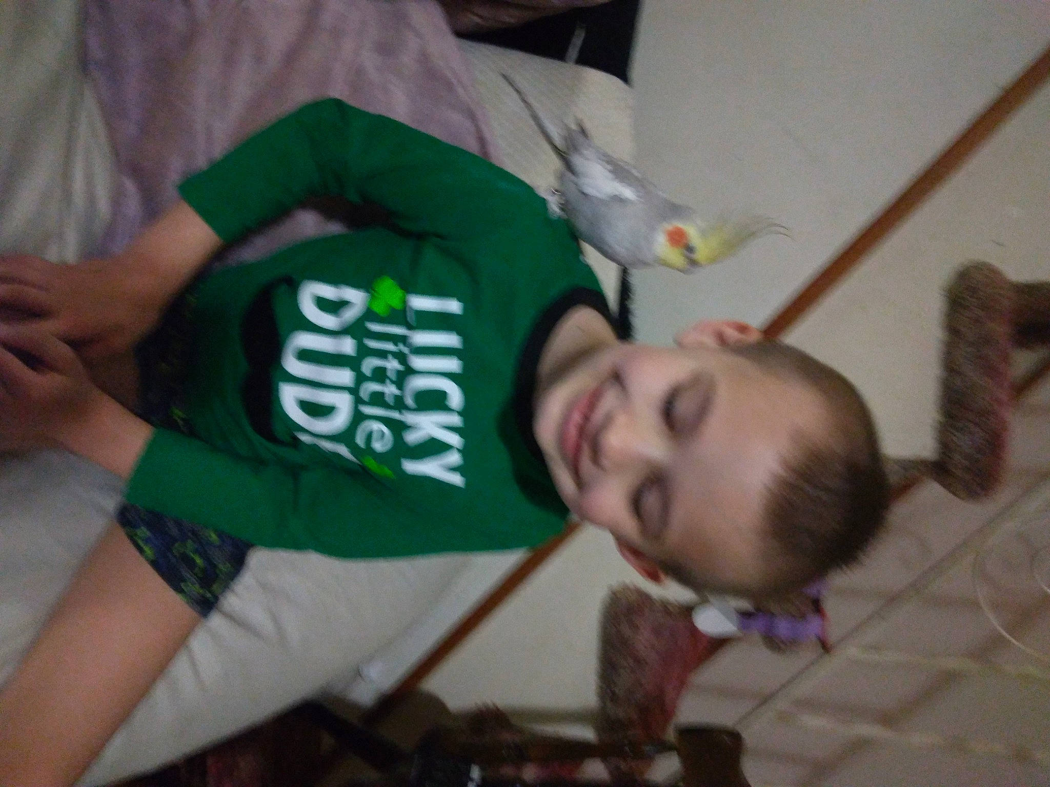 Dante is registered to the contest to win money with this photo: baby, child, elbow, event, flooring, fun, happy, hat, holiday, joy, mouth, person, room, sleeve, smile, sportswear, t_shirt, toddler, wood, wrist