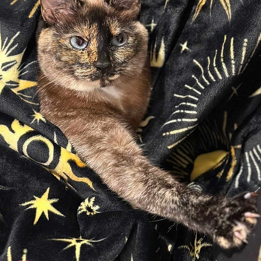 Luna