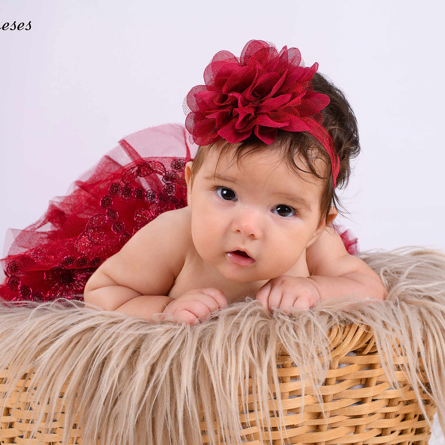 Jimena is registered to the contest to win money with this photo: accessories, baby, basket, bed, bodypart, clothing, face, finger, flower, flowerarrangement, furniture, hand, hat, head, headband, newborn, person, photography, plant, portrait