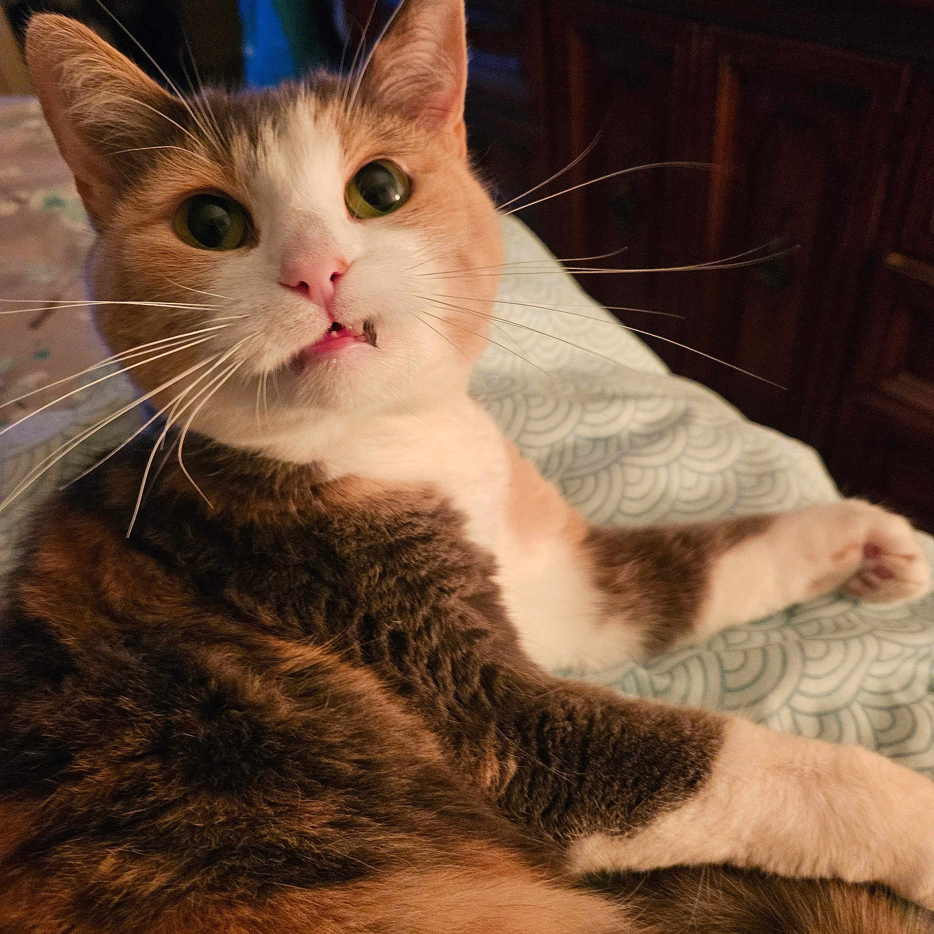 Frannie