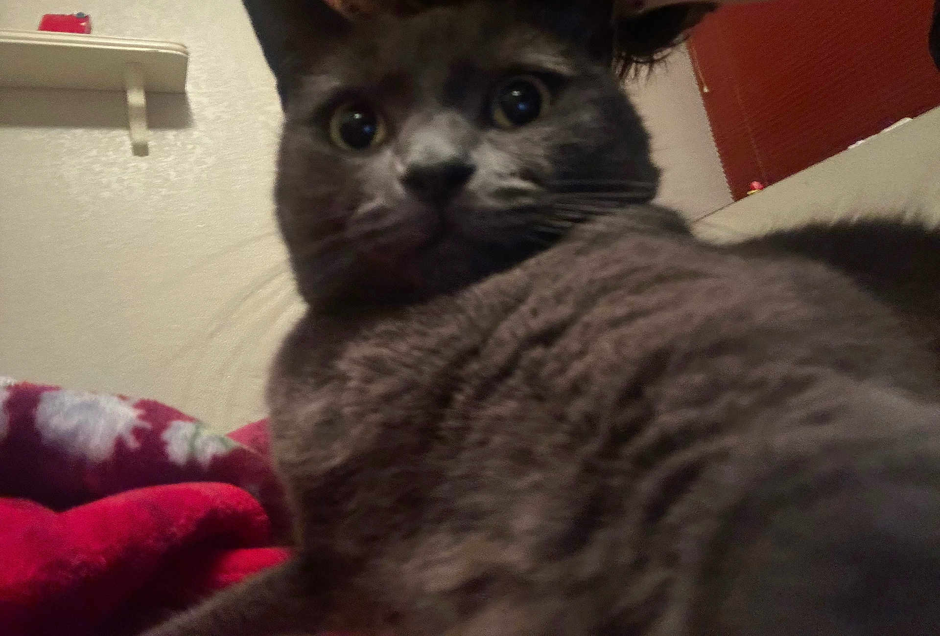 Ethel