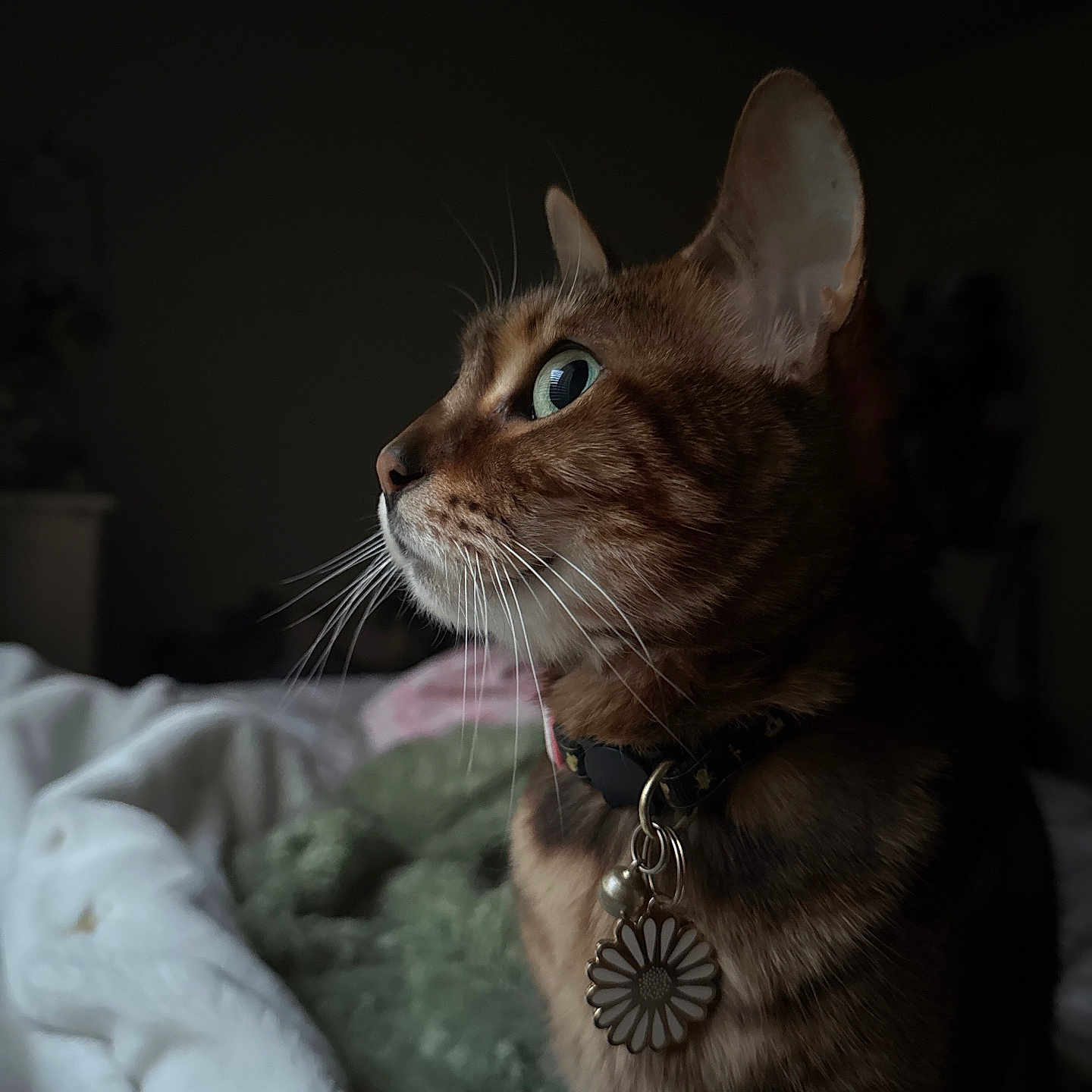 Julie