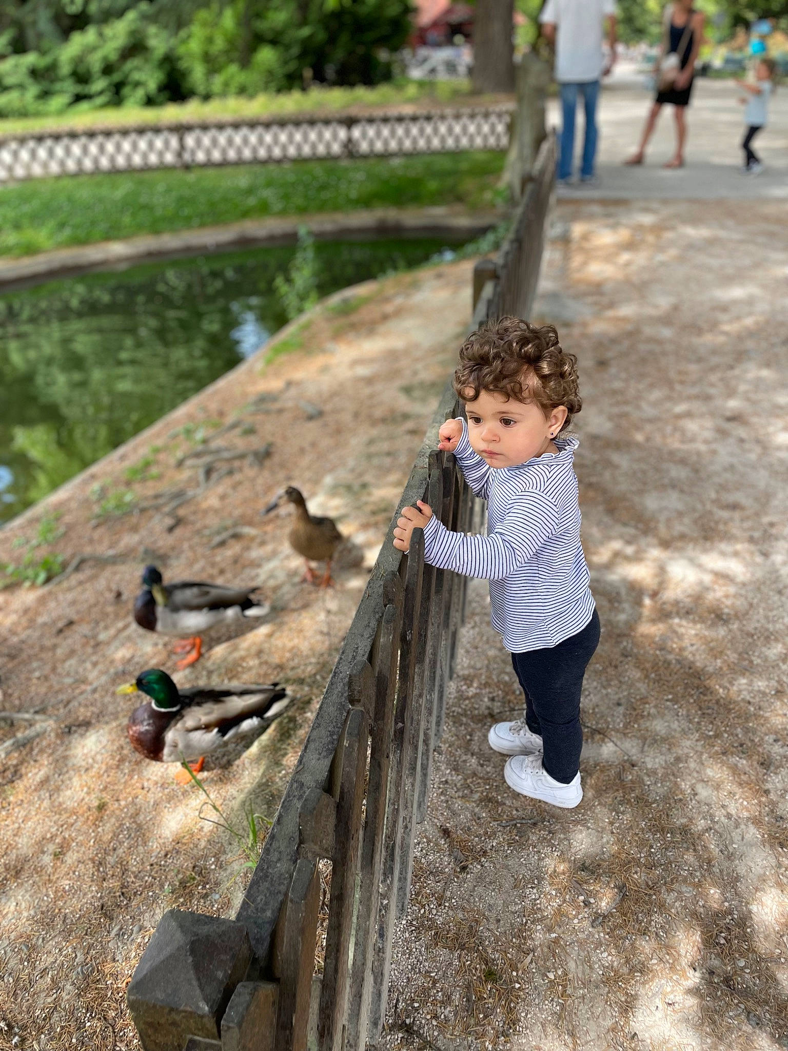 Aleya participe au concours pour gagner de l'argent avec cette photo : _geese_and_swans, child, ducks, fence, fun, grass, landscape, leaf, leisure, nature, people, people_in_nature, person, plant, recreation, sitting, summer, toddler, tree, wilderness