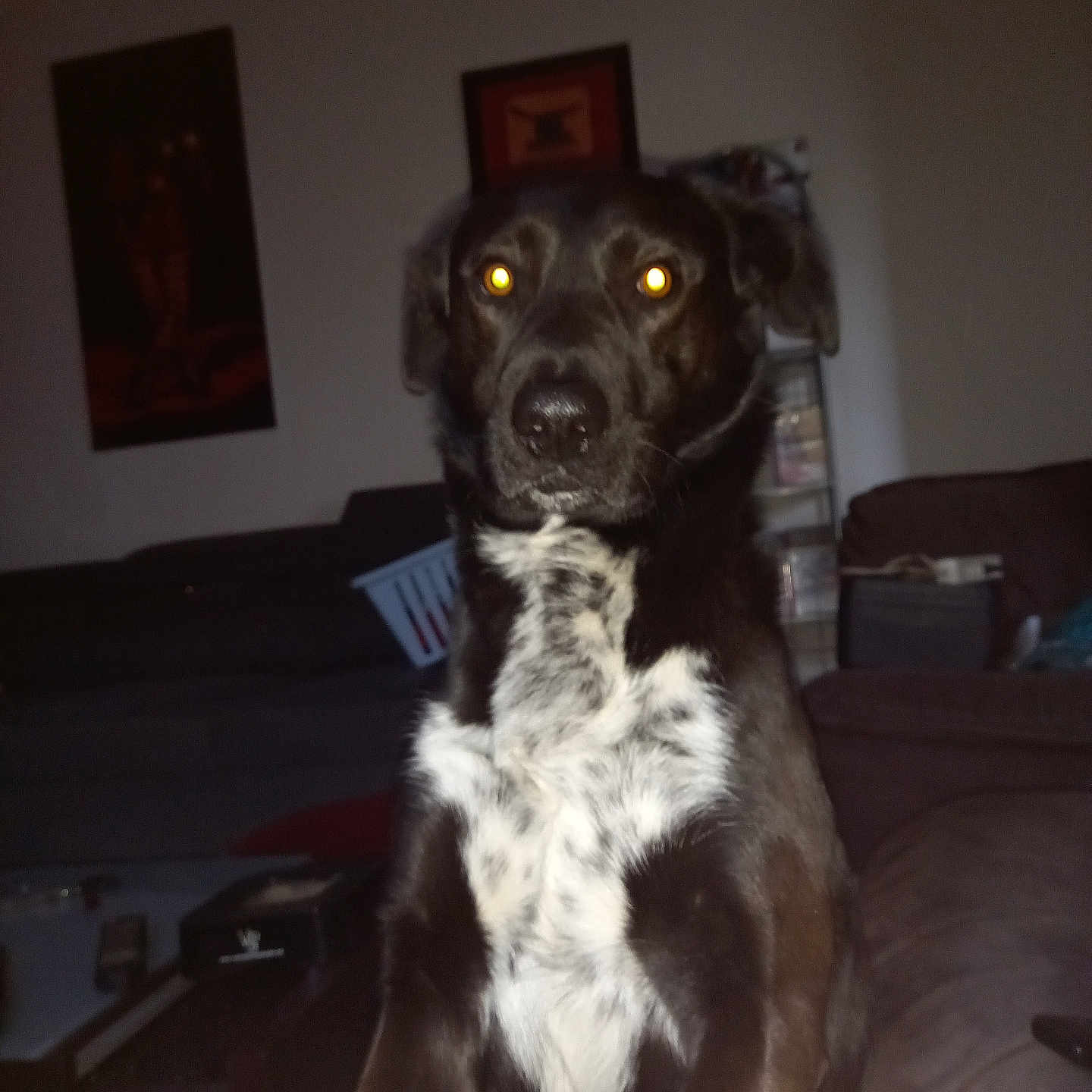 Ukko